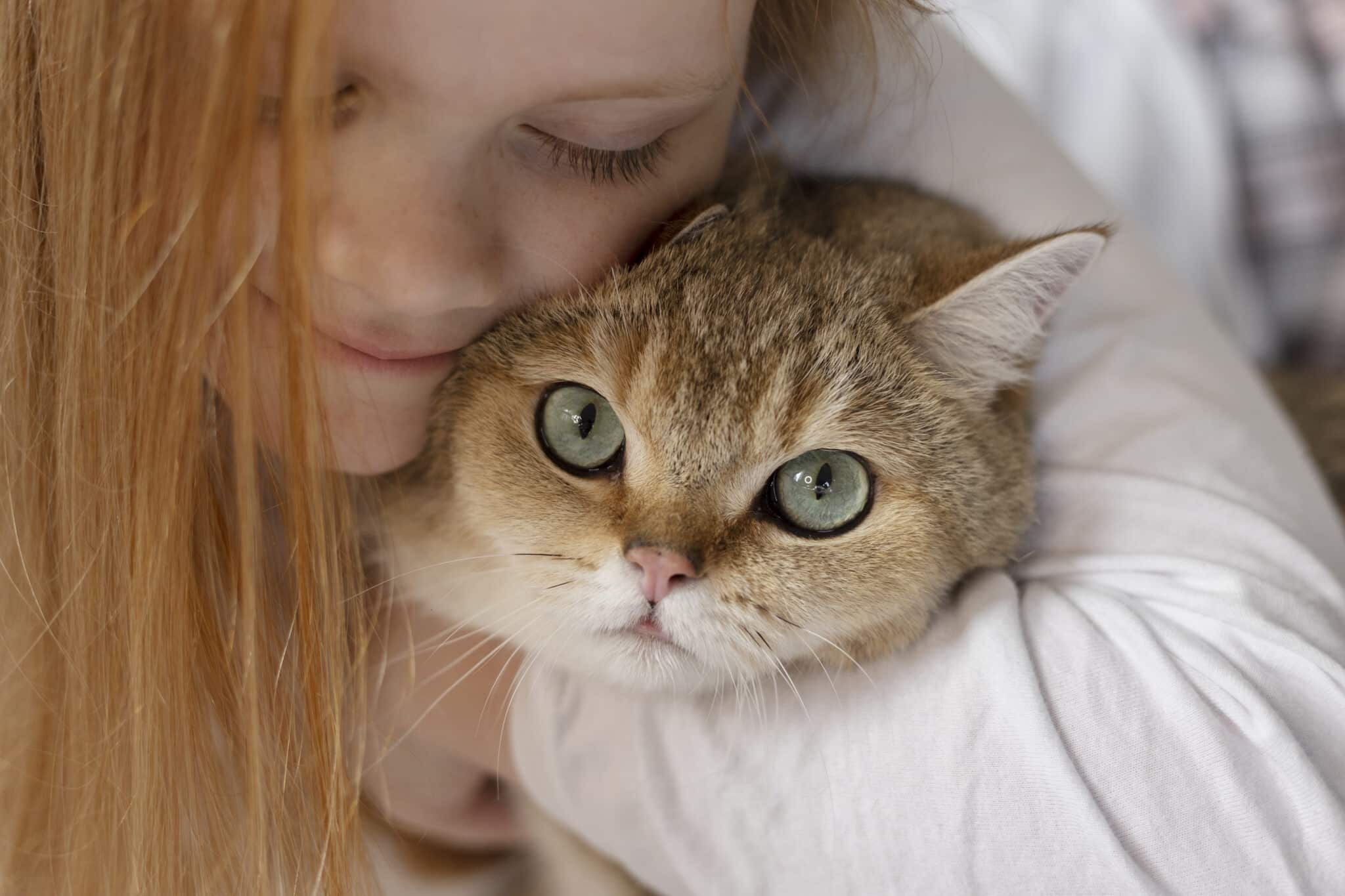 close-up-beautiful-cat-with-little-girl-3-scaled