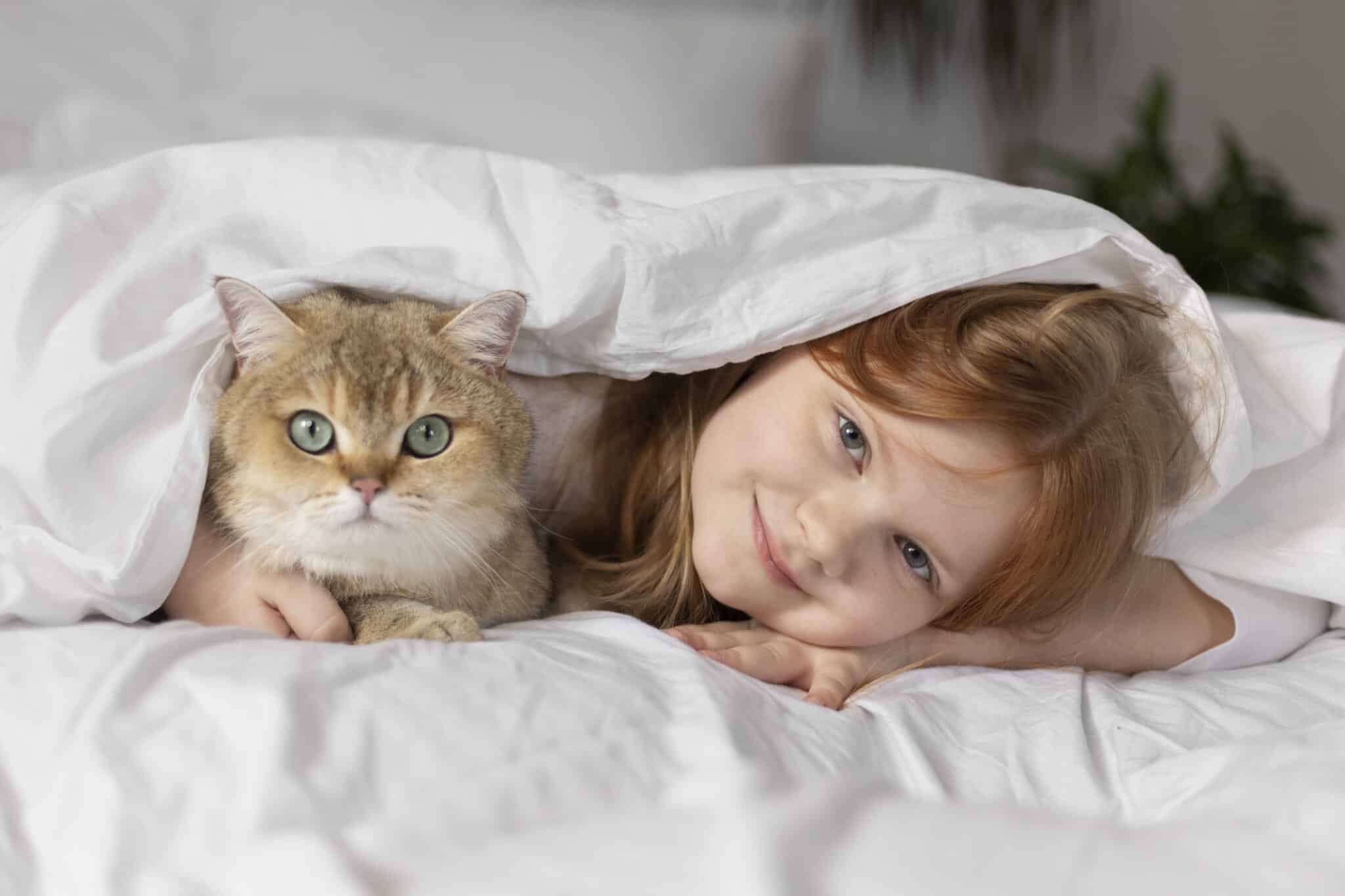 close-up-beautiful-cat-with-little-girl-4-scaled